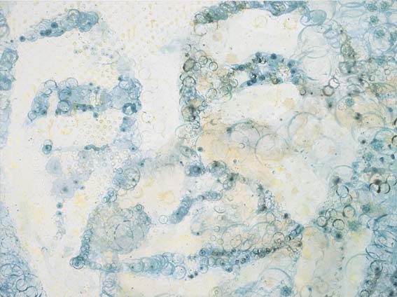 HOBITA, 2003, mixed media