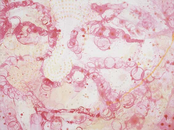 CLARA , 2003, mixed media